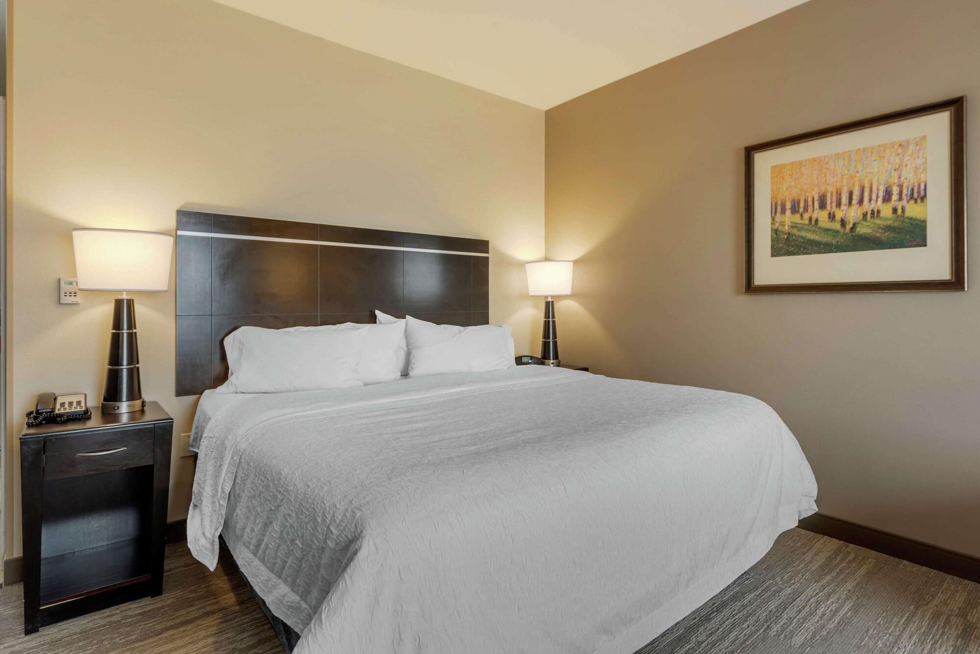 Hampton Inn Аламоса Екстериор снимка